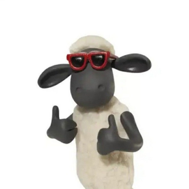 AE4 Profile Picture